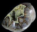 Crystal Filled Septarian Geode - Utah #33095-3